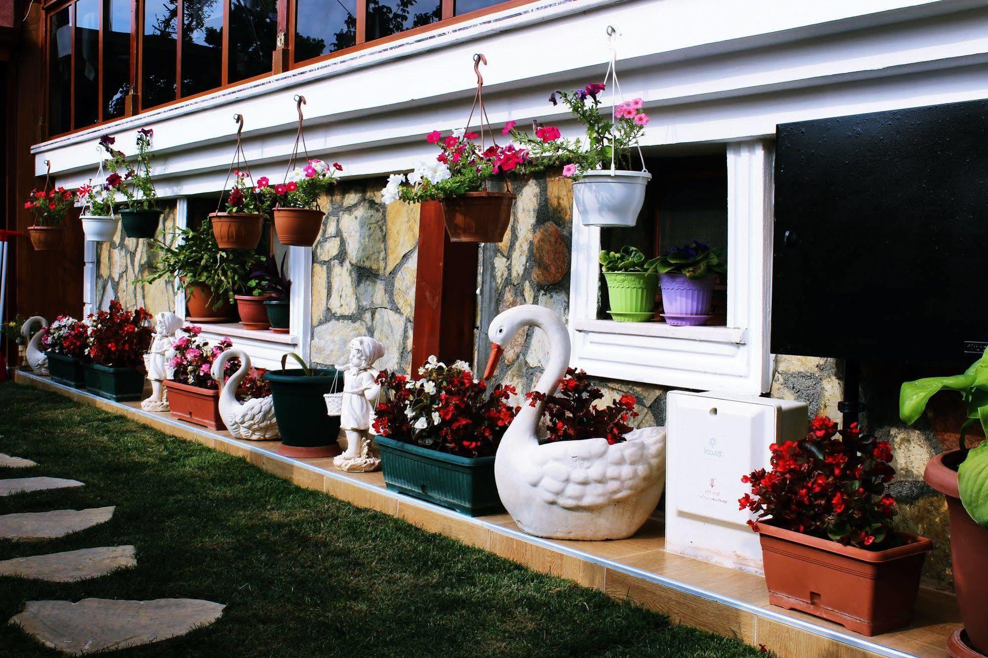 Agva Sahil Yildizi Hotel Ağva Exterior foto